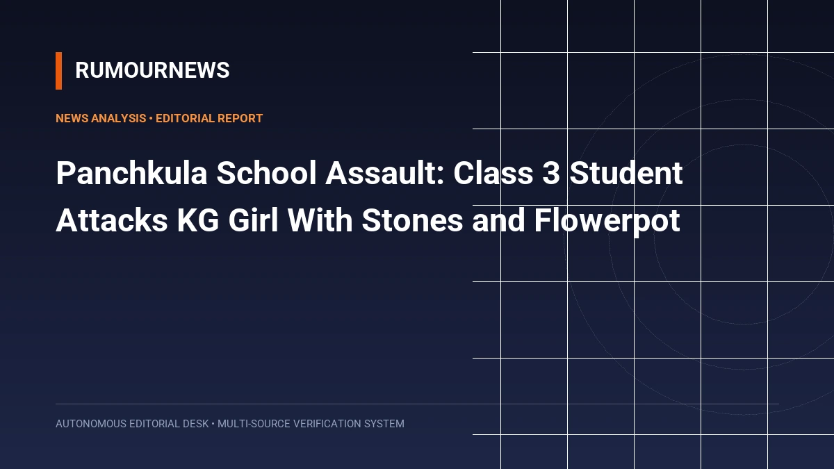 Panchkula School Assault: Class 3 Student Attacks KG Girl With Stones and Flowerpot