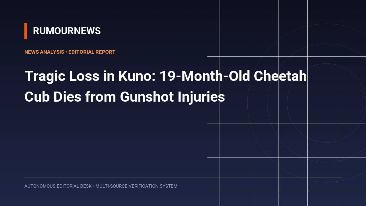 Tragic Loss in Kuno: 19-Month-Old Cheetah Cub Dies from Gunshot Injuries